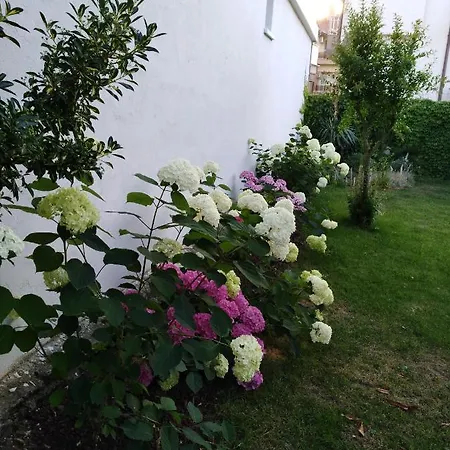 Студио София 8 * Czernomorec